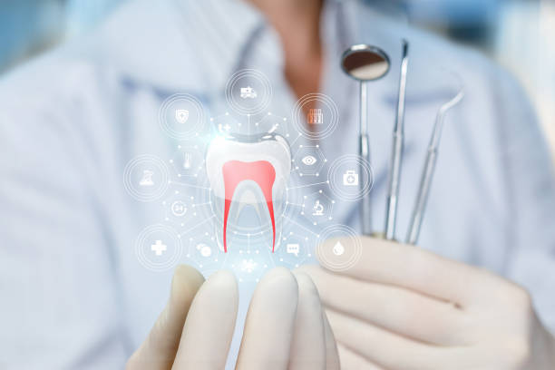 New Paris, OH Holistic Dental Care Services Company